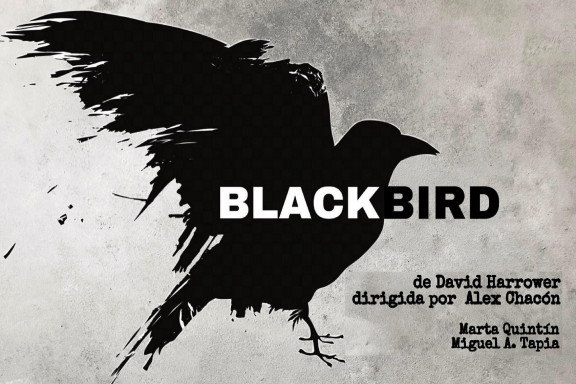 Blackbird