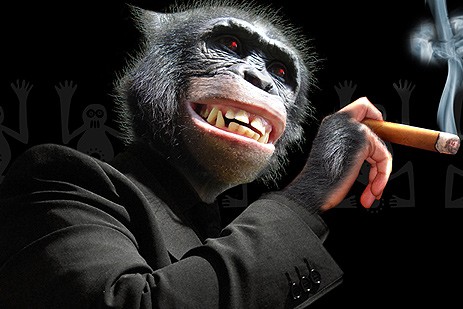 Concierto acústico de El Gran Bonobo -  grabación de su nuevo dvd