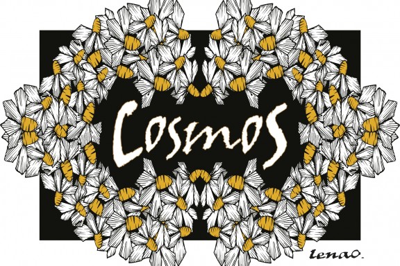 CosmoS  de LenaO.