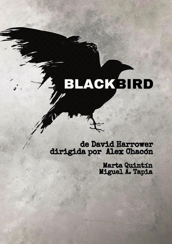 Blackbird