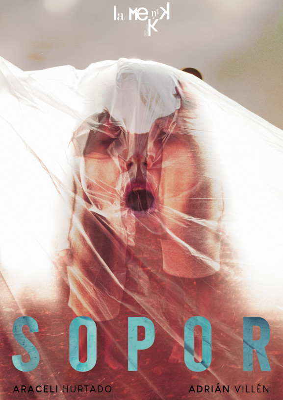 Sopor