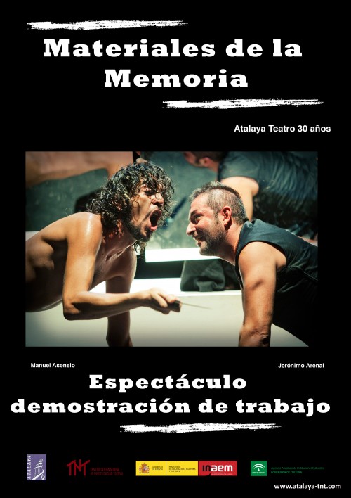 Materiales de la memoria